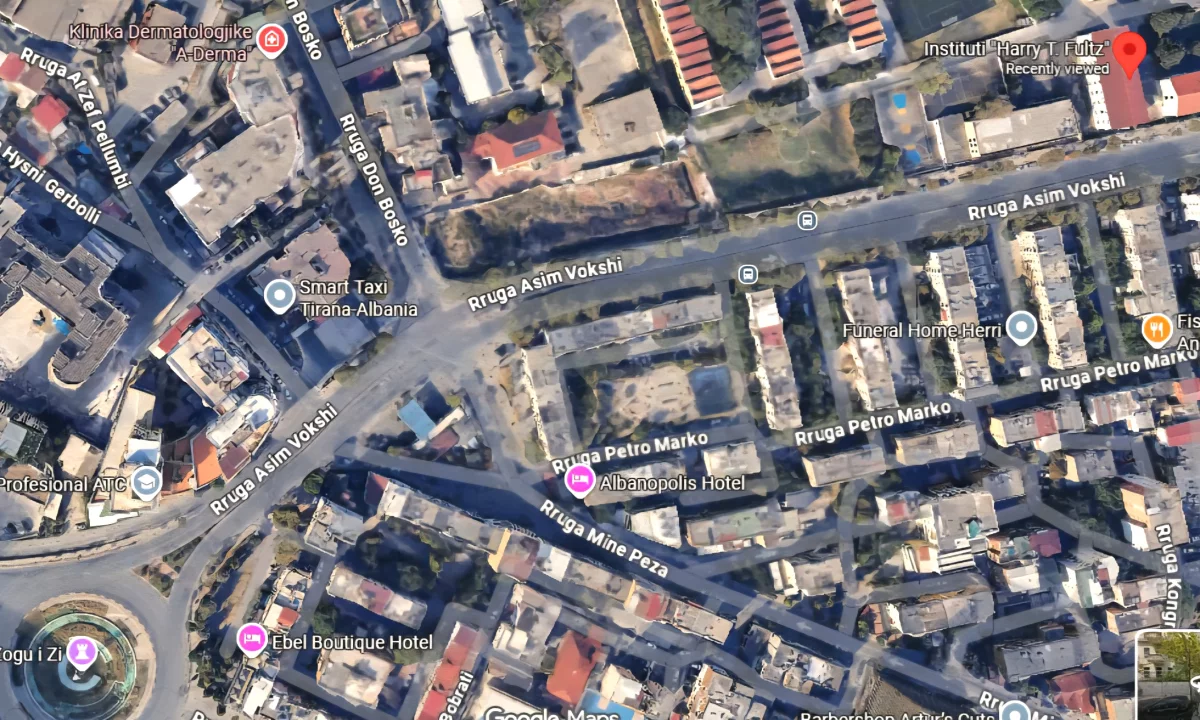 DYQAN NE SHITJE PRANE ZOGUT TE ZI