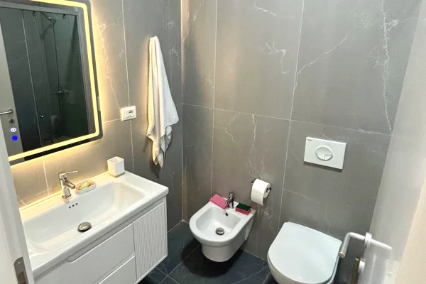 Shtepi me qera Apartament ne Tirane, 1+1, Mobilimi E mobiluar, Pagesa 450  Euro.