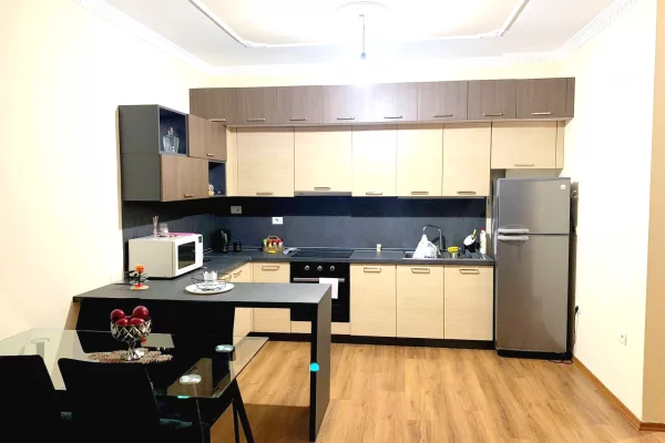 Shtepi me qera Apartament ne Tirane, 1+1, Mobilimi E mobiluar, Pagesa 490  Euro.