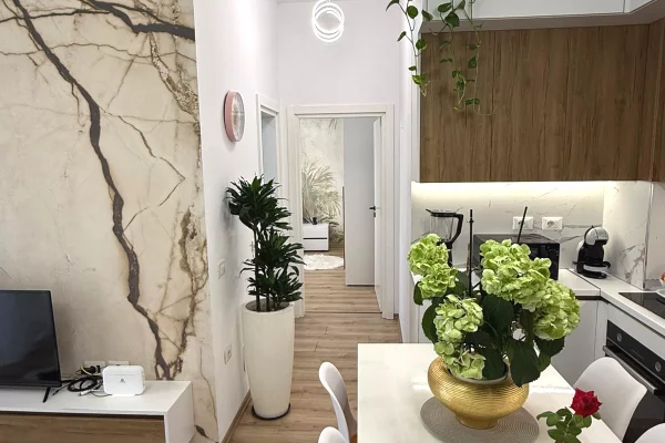 Shtepi me qera Apartament ne Tirane, 1+1, Mobilimi E mobiluar, Pagesa 700  Euro.
