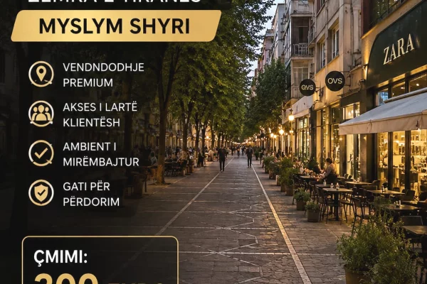 Ambient biznesi me qera 1+1 ne Tirane - 300 Euro