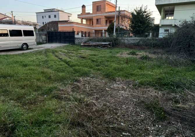 Ambient biznesi me qera 1+1 ne Tirane - 800 Euro