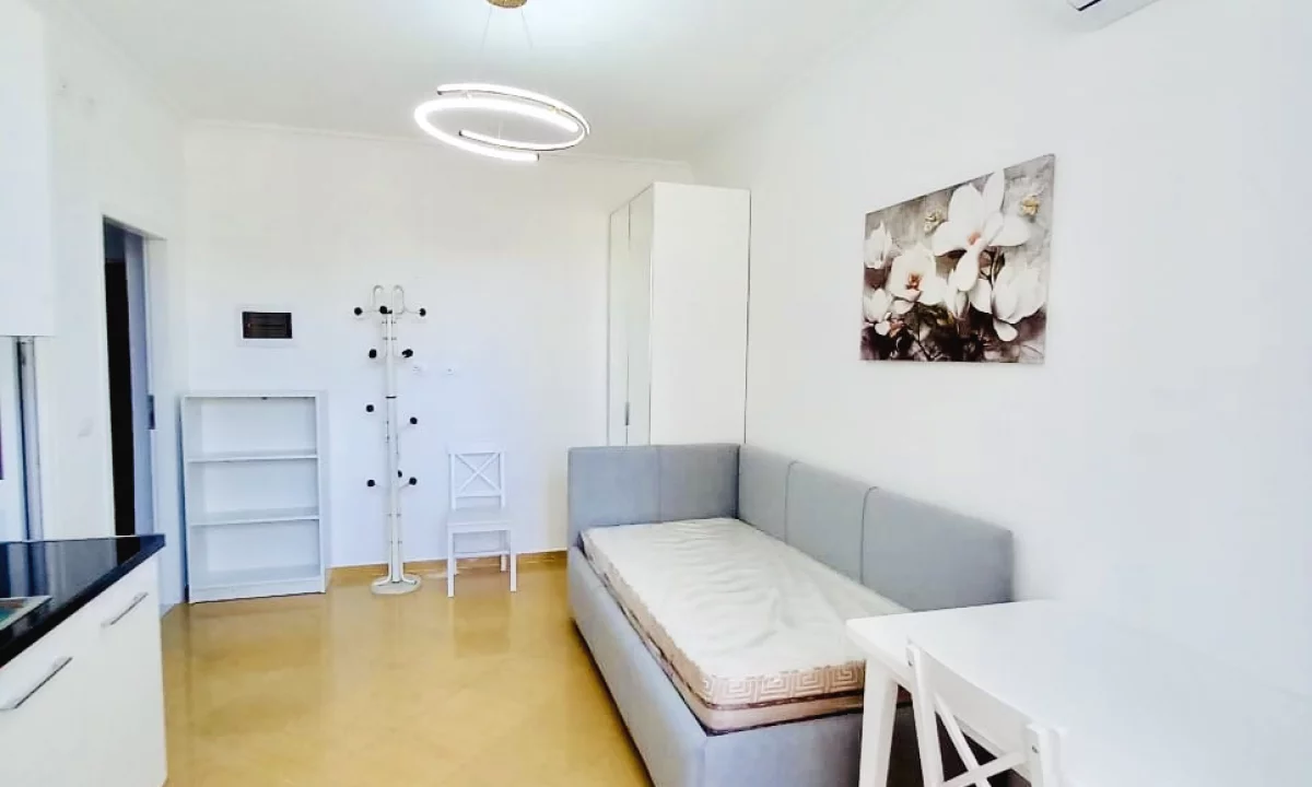 Shtepi me qera Apartament ne Tirane, Garsoniere, Mobilimi E mobiluar, Pagesa 30,000  Leke.