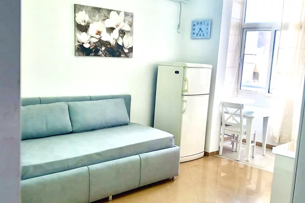 Shtepi me qera Apartament ne Tirane, Garsoniere, Mobilimi E mobiluar, Pagesa 30,000  Leke.