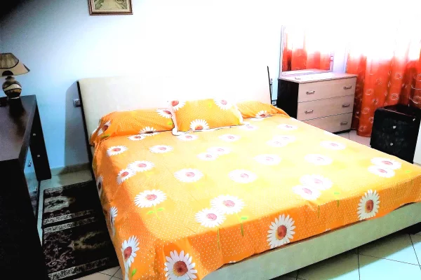 House for Rent Apartment in Tirana, 1+1, Furniture Furnished, Payment 50,000  Leke.