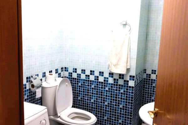 House for Rent Apartment in Tirana, 1+1, Furniture Furnished, Payment 50,000  Leke.