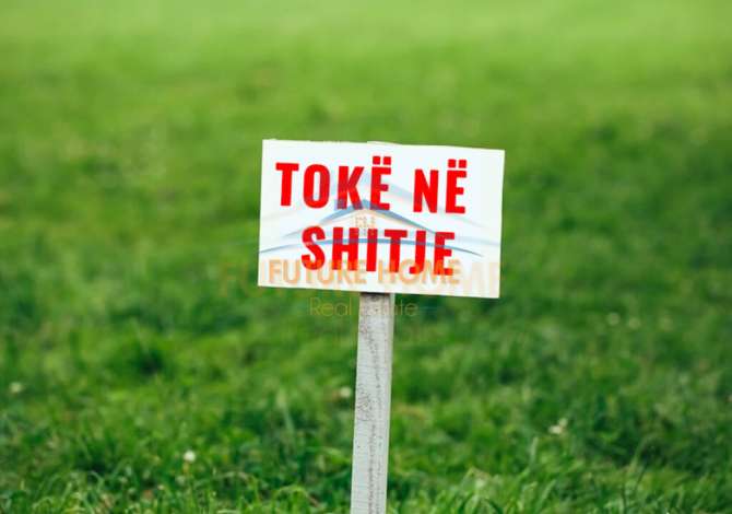 Shitet Toke ne Liqenin e Paskuqanit . Tirane