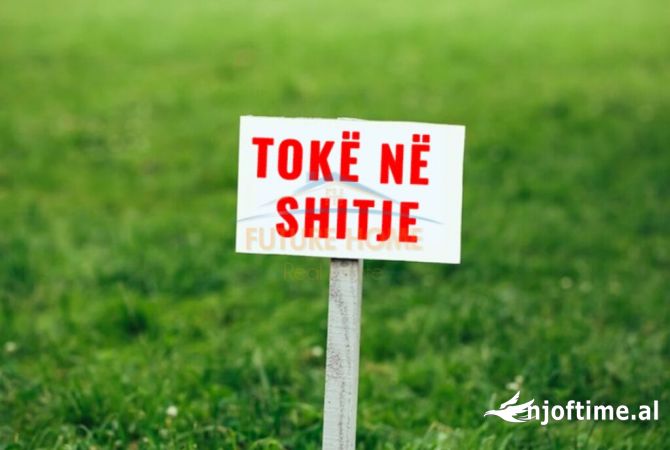 SHITET - VILE + TOKE 3384 M2