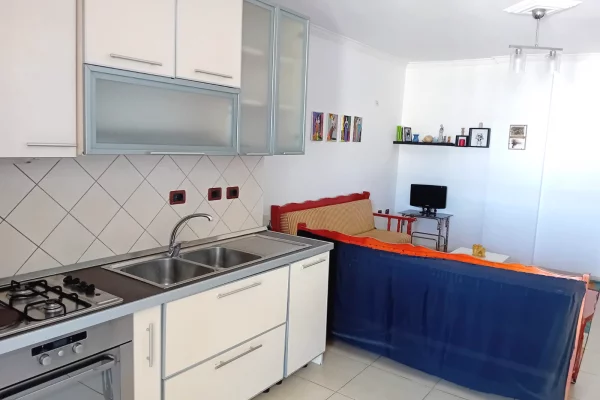 Shtepi me qera Apartament ne Tirane, 1+1, Mobilimi E mobiluar, Pagesa 40,000  Leke.