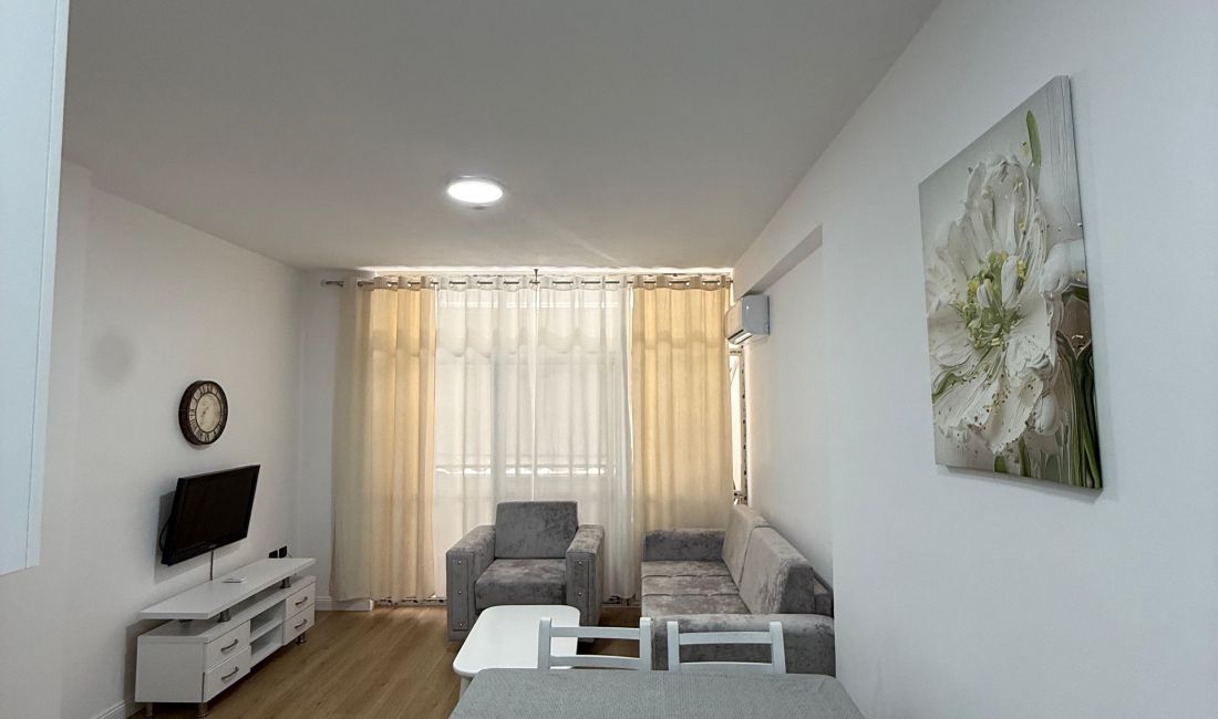 Shtepi me qera Apartament ne Tirane, 1+1, Mobilimi E mobiluar, Pagesa 453  Euro.