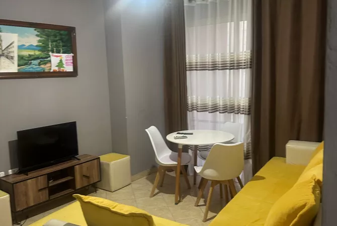 Shtepi ne shitje Apartament ne Tirane, 1+1, Mobilimi E mobiluar, Pagesa 98,033  Euro.