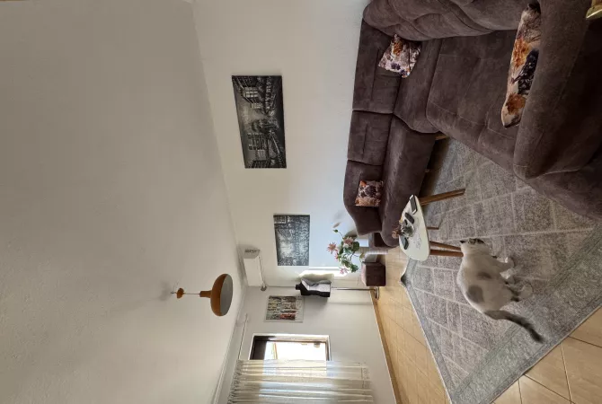 Shtepi ne shitje Apartament ne Tirane, 2+1, Mobilimi E mobiluar, Pagesa 117,009  Euro.