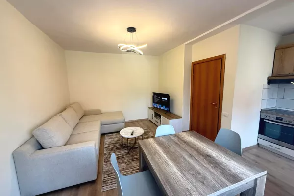 Shtepi ne shitje Apartament ne Tirane, 1+1, Mobilimi E mobiluar, Pagesa 110,000  Euro.