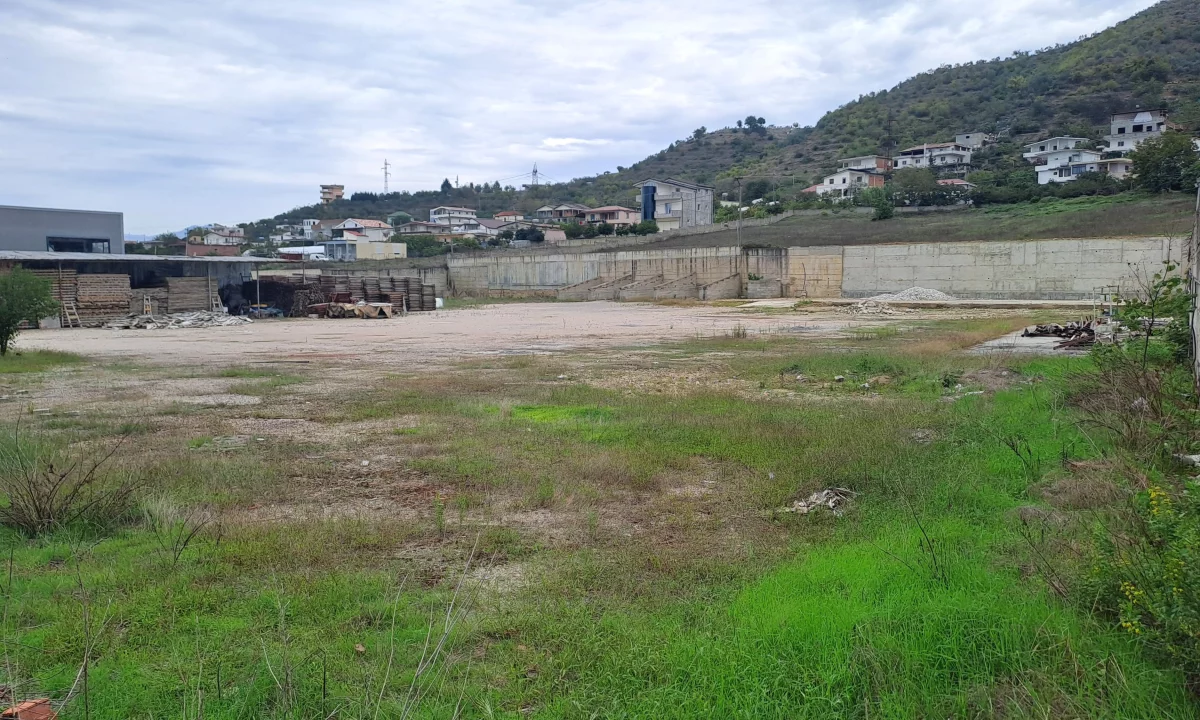 Toke 6000 m2 buze rruges  - Peze-Helmes 