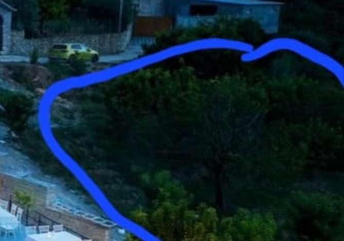 Truall ose Toke ne Berat - 80,000 Euro