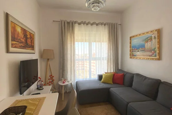 Shtepi ne shitje Apartament ne Tirane, 1+1, Mobilimi E mobiluar, Pagesa 125,000  Euro.