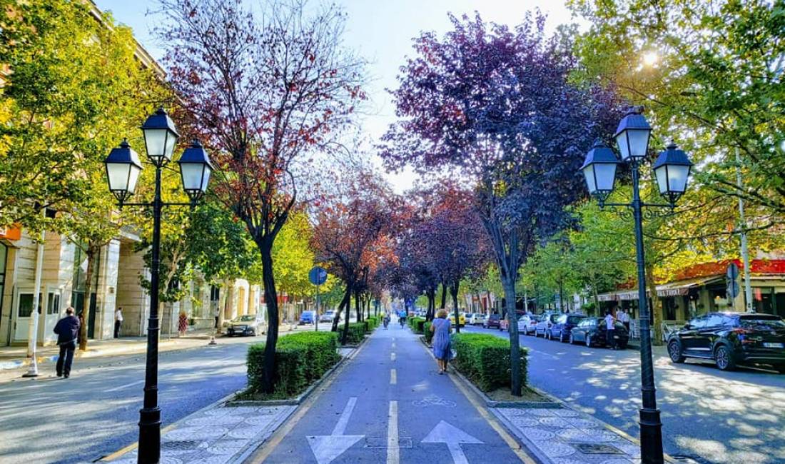 AMBJENT BIZNESI ME QERA TEK RRUGA KAVAJES