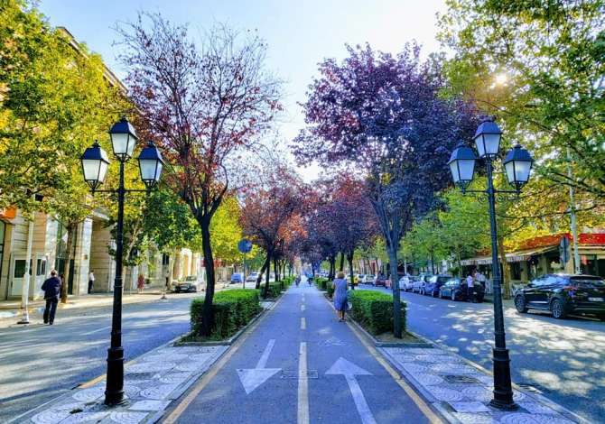 Ambient biznesi me qera 3+1 ne Tirane - 350 Euro