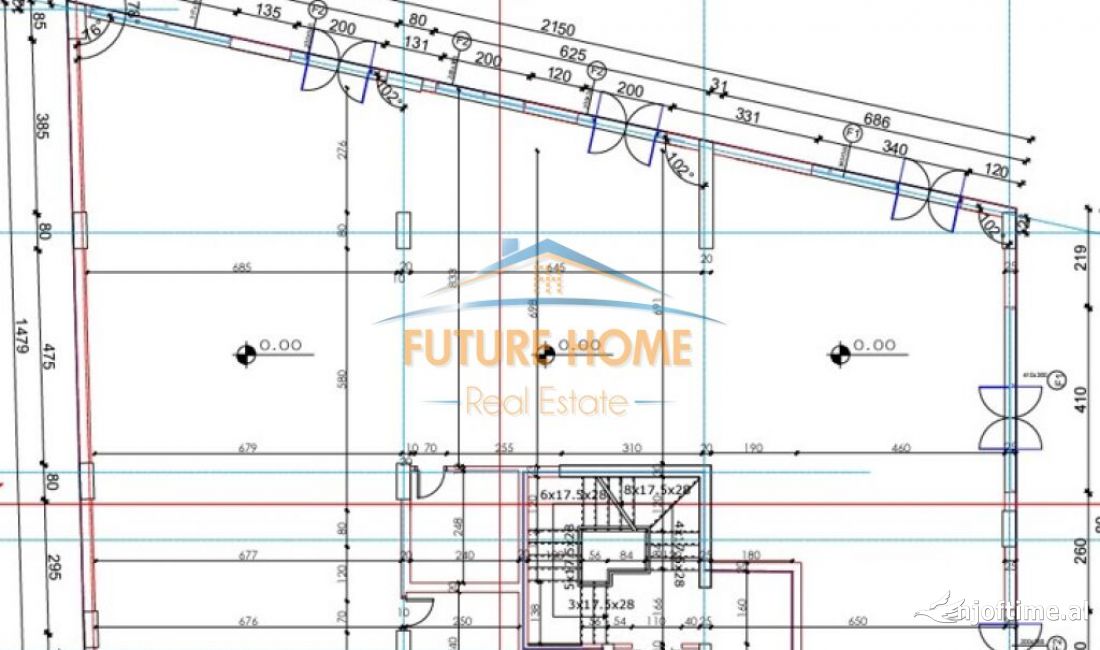 SHITET AMBIENT BIZNESI,FROSINA PLAKU