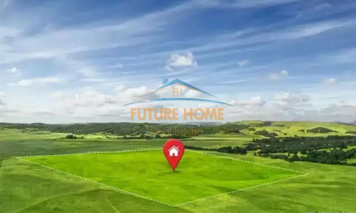 Toke Per Shitje, Prane Rinasit