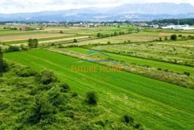 Truall ose Toke ne Tirane - 500,000 Euro