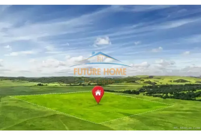 Truall ose Toke ne Tirane - 500,000 Euro