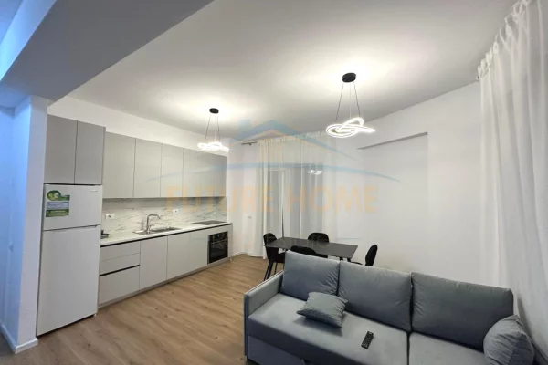 Shtepi me qera Apartament ne Tirane, 1+1, Mobilimi E mobiluar, Pagesa 450  Euro.