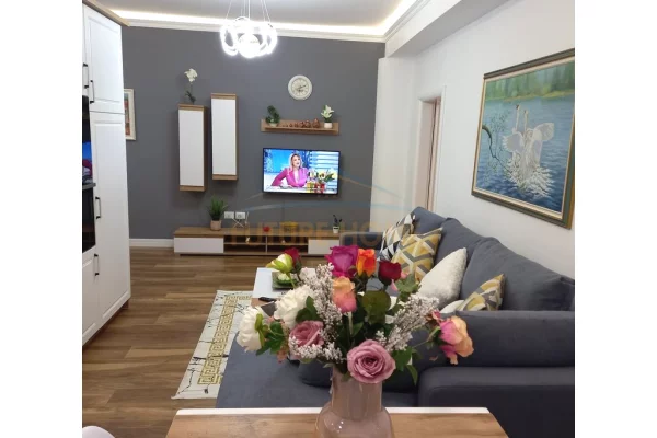 Shtepi me qera Apartament ne Tirane, 1+1, Mobilimi E mobiluar, Pagesa 750  Euro.