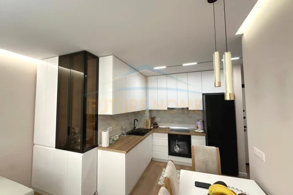 Shtepi ne shitje Apartament ne Tirane, 1+1, Mobilimi E mobiluar, Pagesa 110,000  Euro.