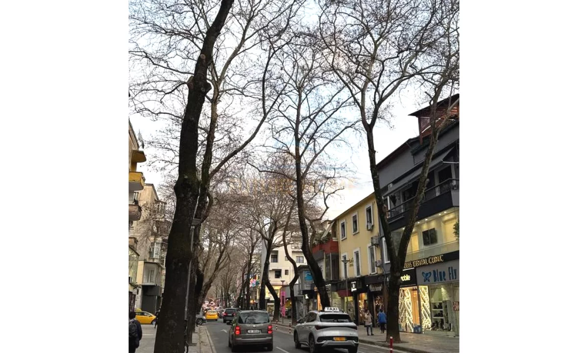  jepet per shitje Godine Biznesi 2 kateshe, Myslym Shyri, Tirane