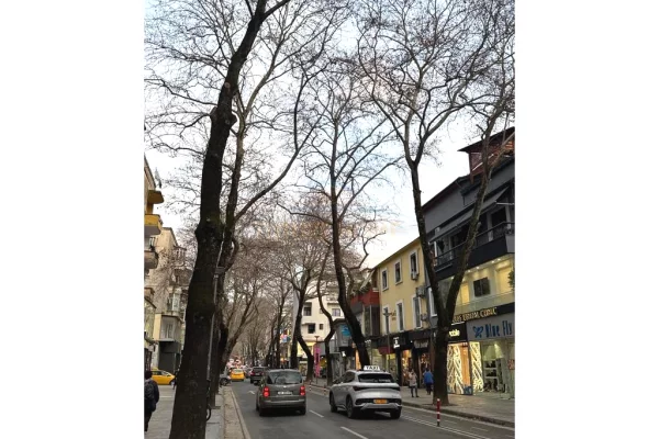 Business Property in Sale 1+1 in Tirana - 2,000,000 Euro