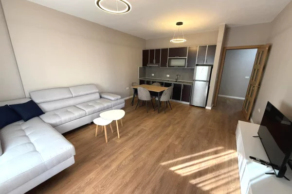 Shtepi ne shitje Apartament ne Tirane, 1+1, Mobilimi E mobiluar, Pagesa 11,000,000  Leke.