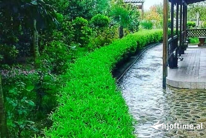 Business Property in Sale 5+1 in Tirana - 400,000 Euro