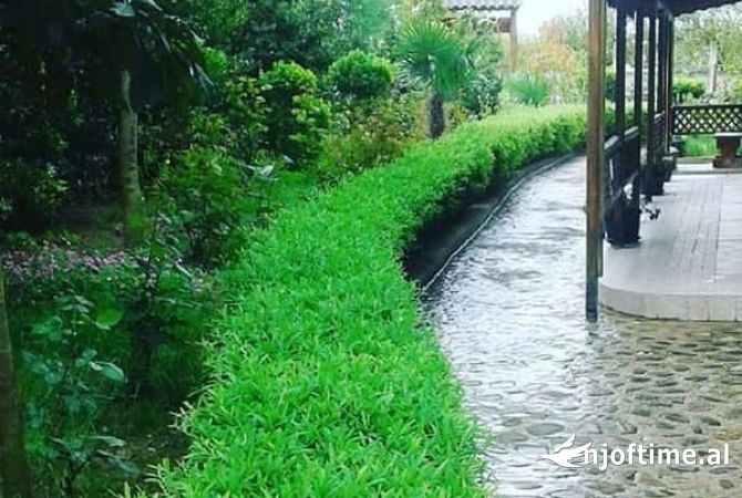 Business Property in Sale 2+1 in Tirana - 400,000 Euro