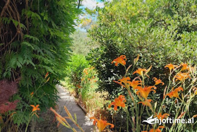 SHITET HOTEL - BAR- RESTORANT ME PISHINE PER AGROTURIZEM NE PEZE, TIRANE