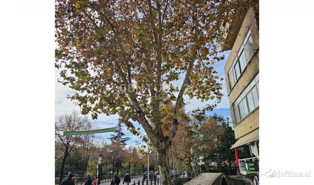 SHITET BIZNESI FARMACI! PRANE URES SE TABAKEVE!