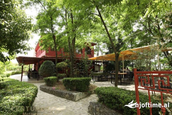 EKSKLUZIVE!!! SHESIM BUJTINE NE PEZE E VOGEL!