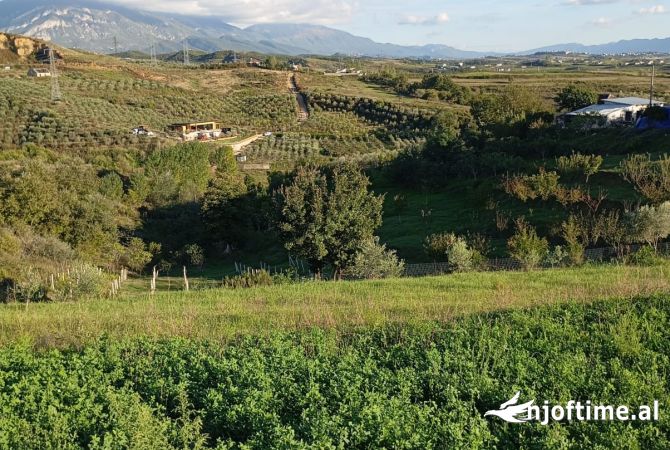 Toke ne Shitje ne Kamez.