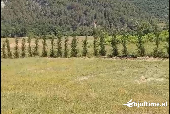 Toke ne Shitje ne Petrele, Tirane