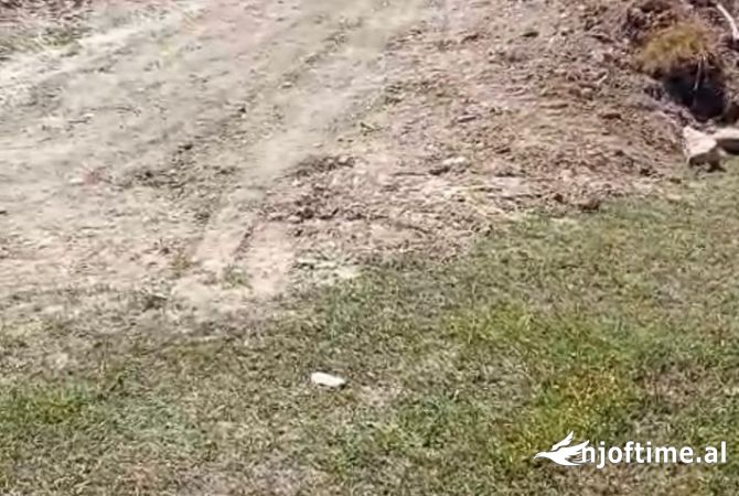 Toke ne Shitje ne Petrele, Tirane