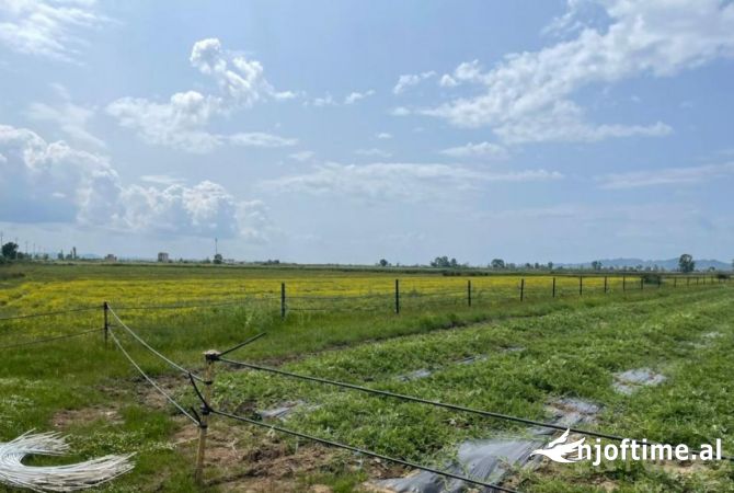 Toke ne Shitje ne Fshat Rinia, Durres