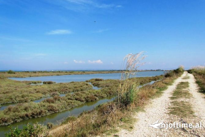 Toke ne Shitje ne Fshat Rinia, Durres