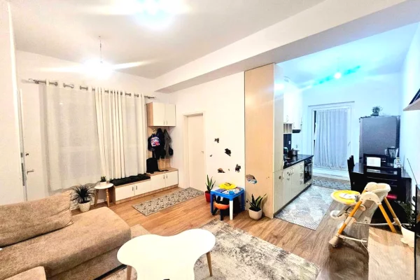 Shtepi ne shitje Apartament ne Tirane, 1+1, Mobilimi E mobiluar, Pagesa 106,000  Euro.