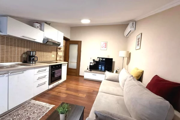 Shtepi me qera 1+1 ne Tirane - 500 Euro