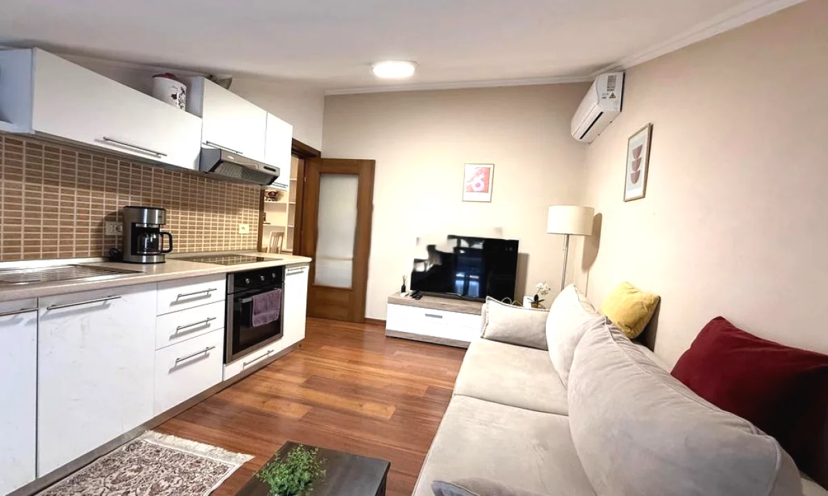 Shtepi me qera Apartament ne Tirane, 1+1, Mobilimi E mobiluar, Pagesa 500  Euro.