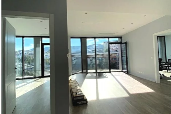 Jepet me Qira Apartament 2+1+ Parkim per Zyra lake view