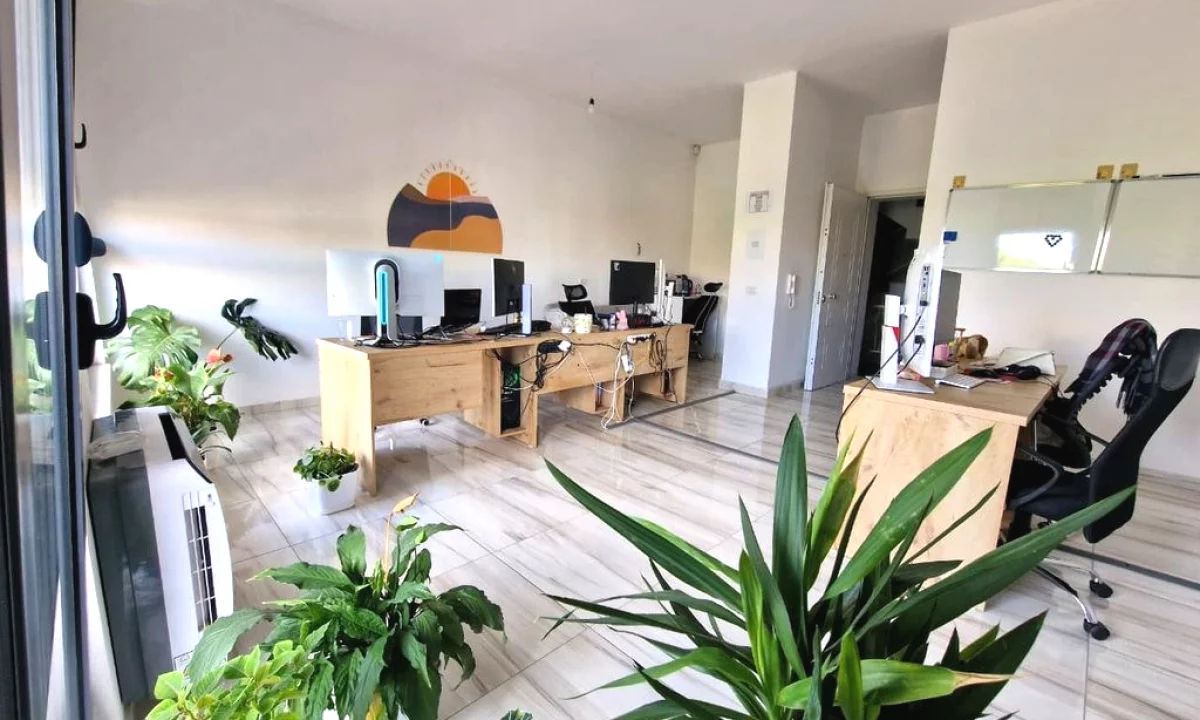 ALI DEMi, JEPET ME QIRA AMBJENT PER ZYRA!