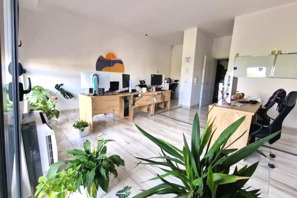 ALI DEMi, JEPET ME QIRA AMBJENT PER ZYRA!