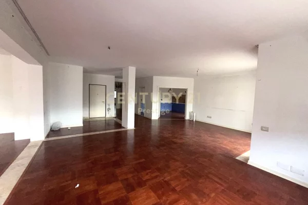 AMBIENT ZYRE ME QIRA, VENDOSUR PRANE STADIUMIT "AIR ALBANIA", TIRANE!