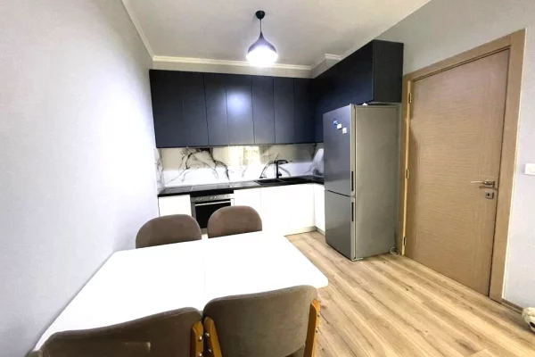 Shtepi me qera Apartament ne Tirane, 1+1, Mobilimi E mobiluar, Pagesa 520  Euro.